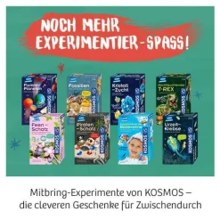 Ausgrabungs-Set 