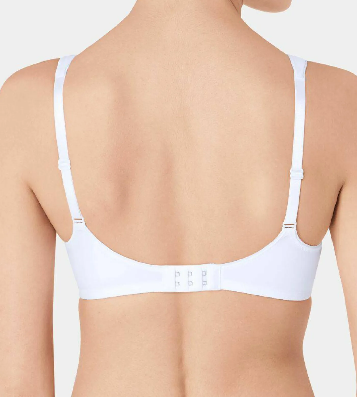 BH "Modern Soft"