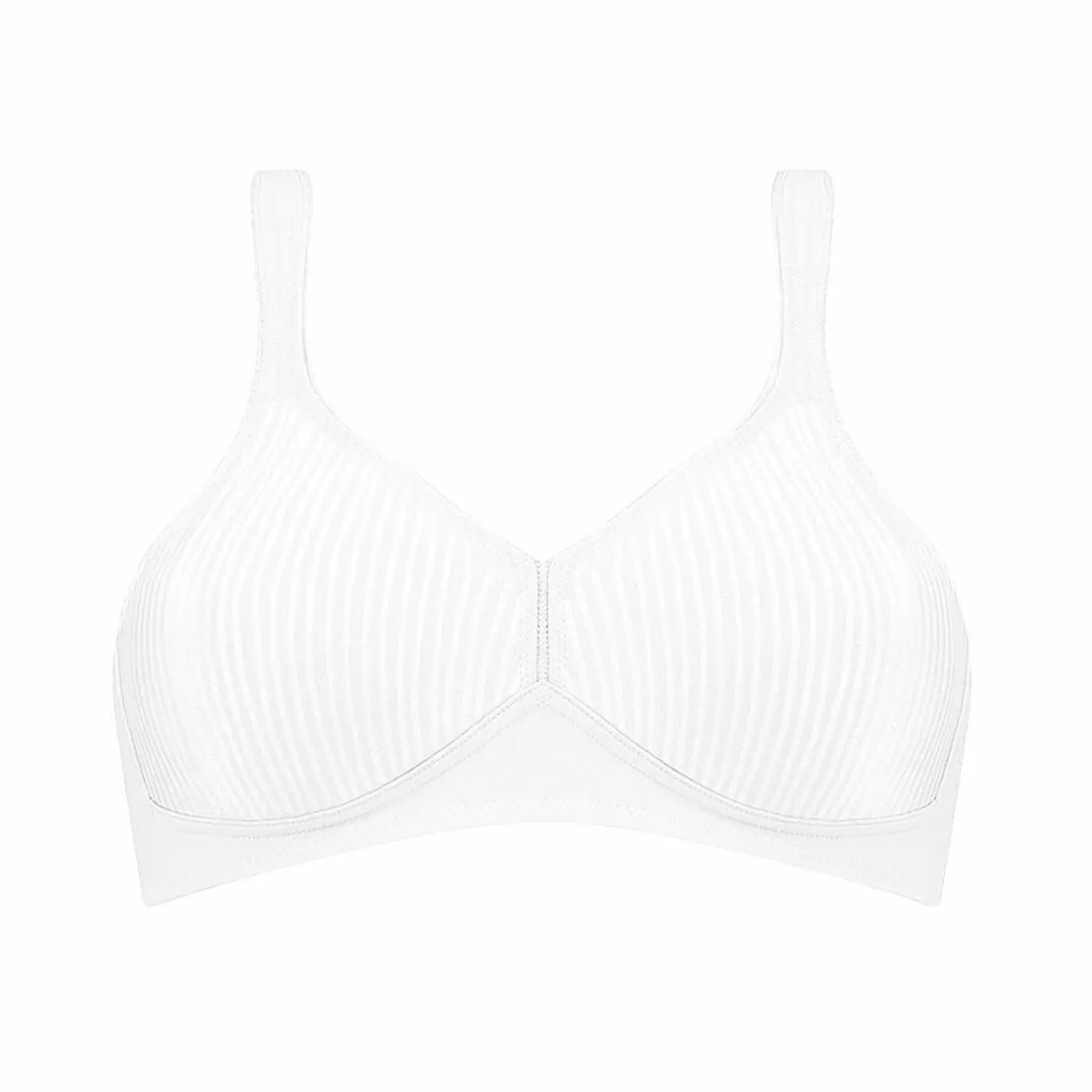 BH "Modern Soft"