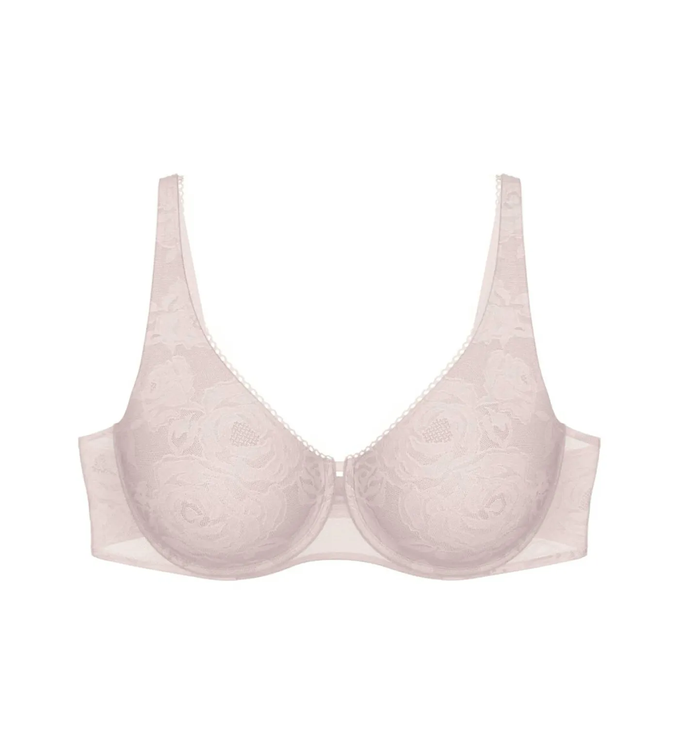 BH "Wild Rose Sensation"
