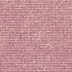 BLUSHER           H9