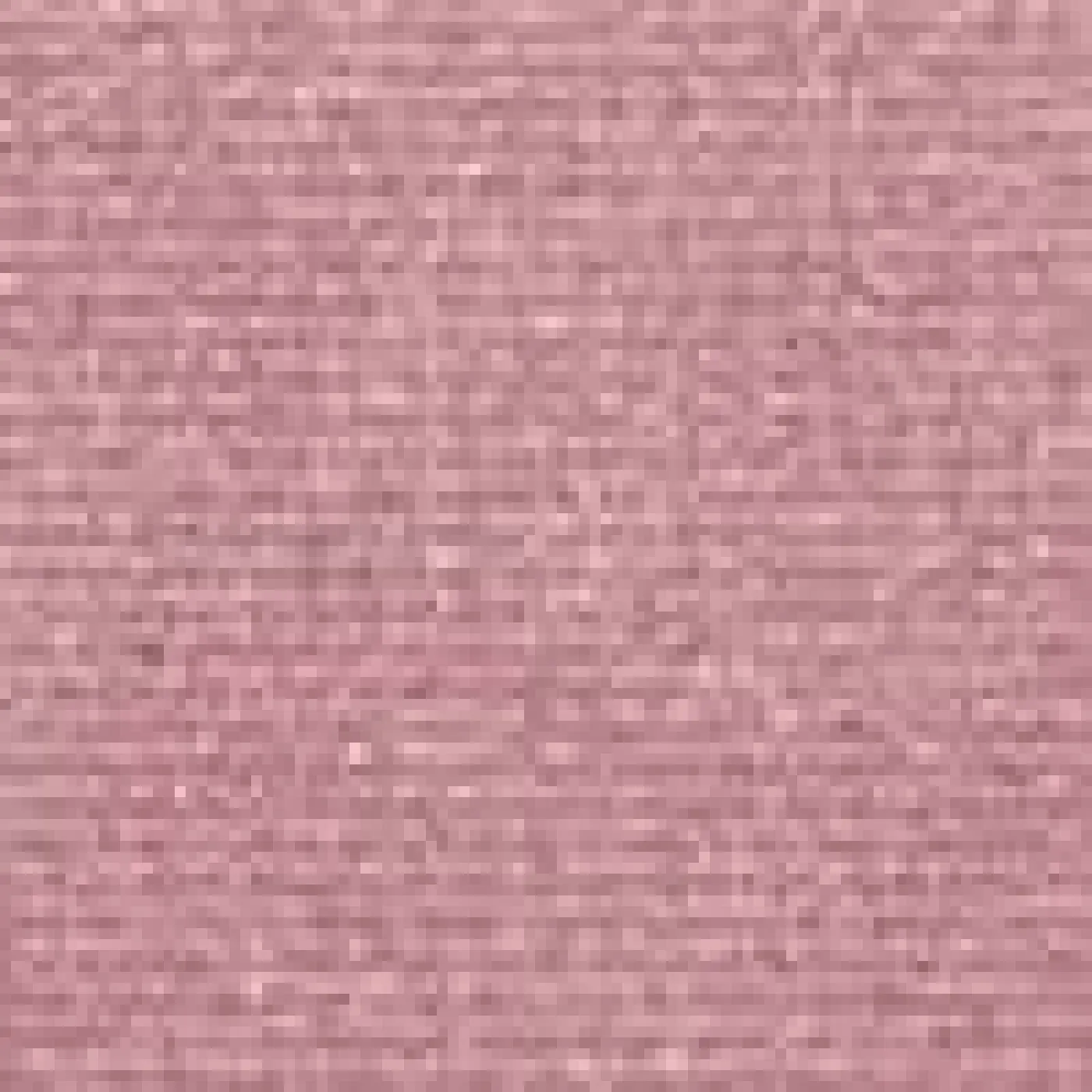 BLUSHER H9