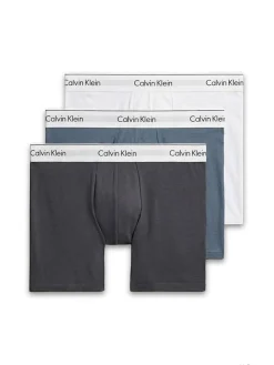 Boxer