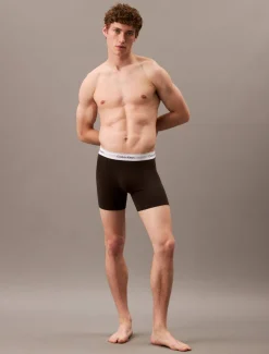 Boxer 