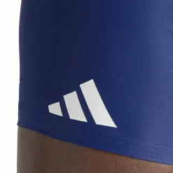 Boxer "Solid"
