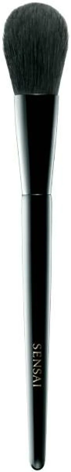 BRUSHES CHEEK BRUSH
