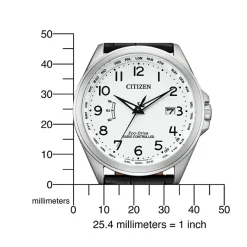 CB0250-17A