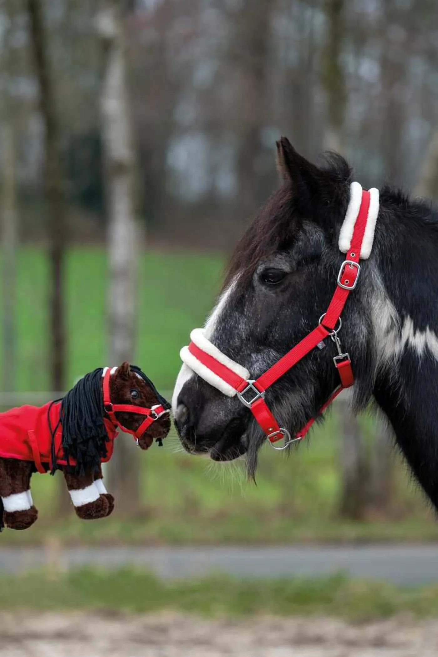 Cuddle Pony-Zubehör "Starter-Set"