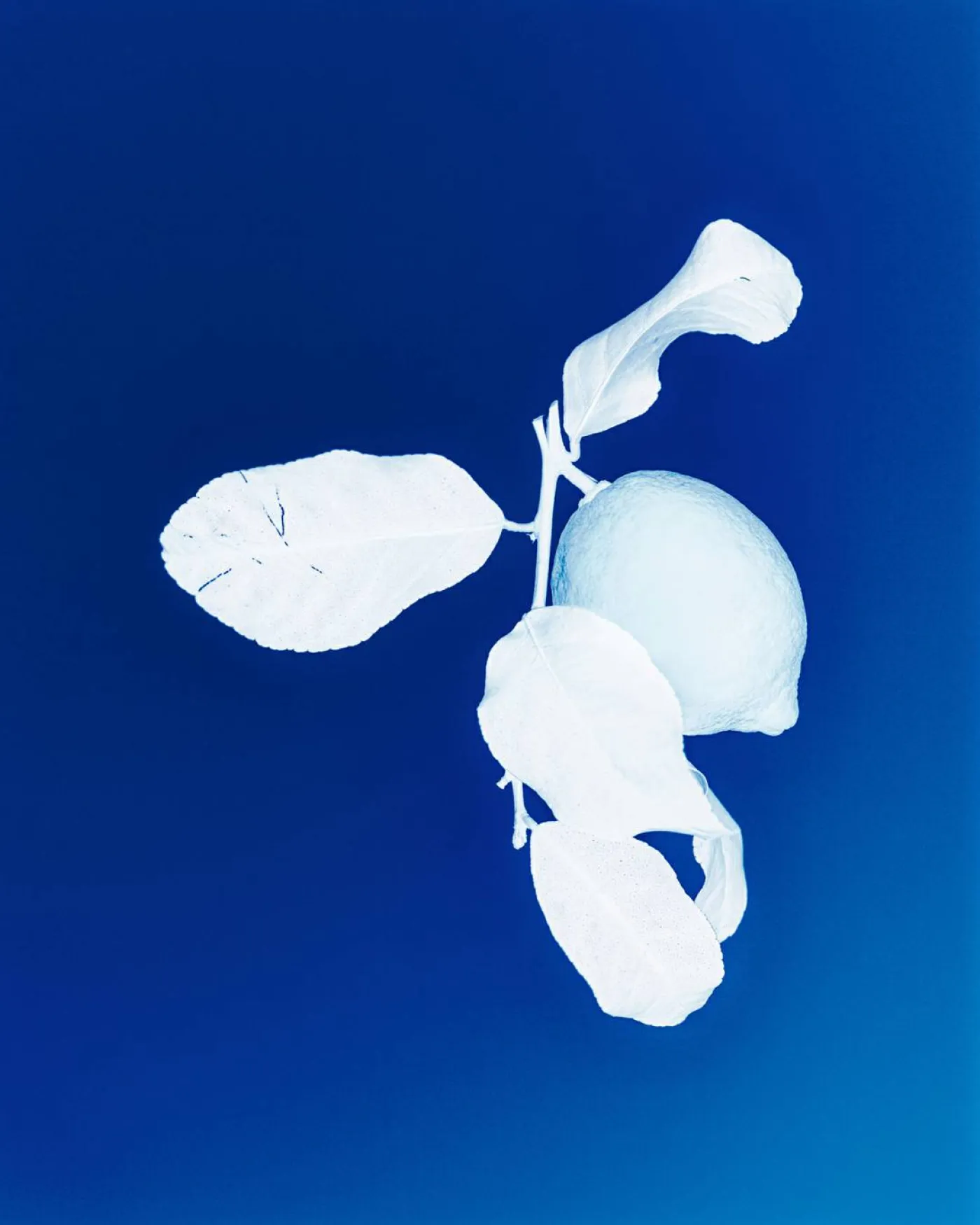 Eau de Toilette "G"