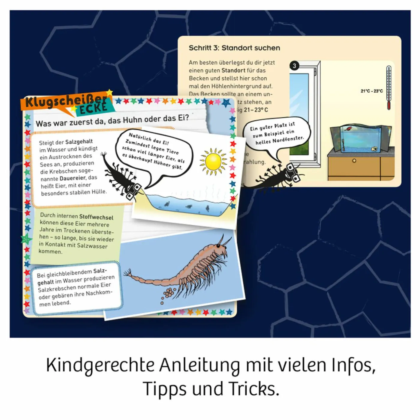 Experimentier-Set "Wuselnde Salzkrebse"