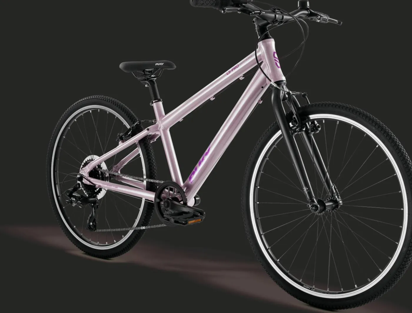 Fahrrad