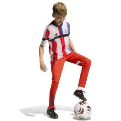 FC Bayern München SS26 Kids Aufwärmtrikot