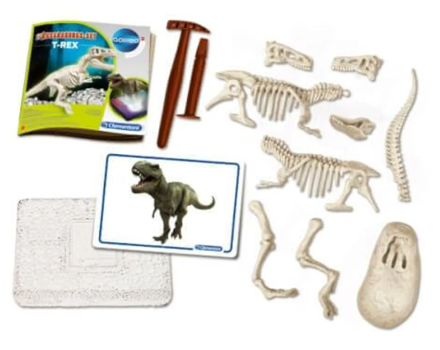 Galileo-Ausgrabungsset "T-Rex"