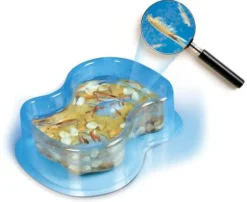 Galileo-Experimentierset "Salzkrebse"