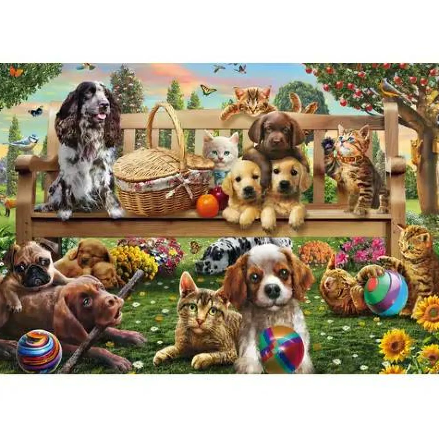 Gartenpicknick für Hund und Katze