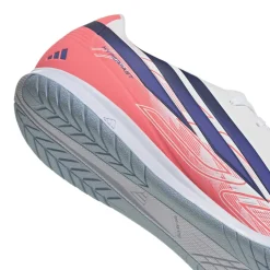 Hallenschuh
