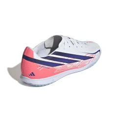 Hallenschuh