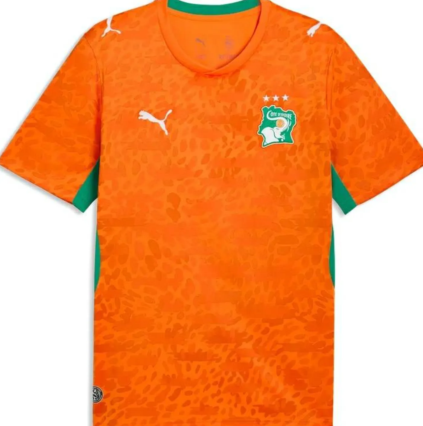 Heimtrikot "Elfenbeinküste 26"