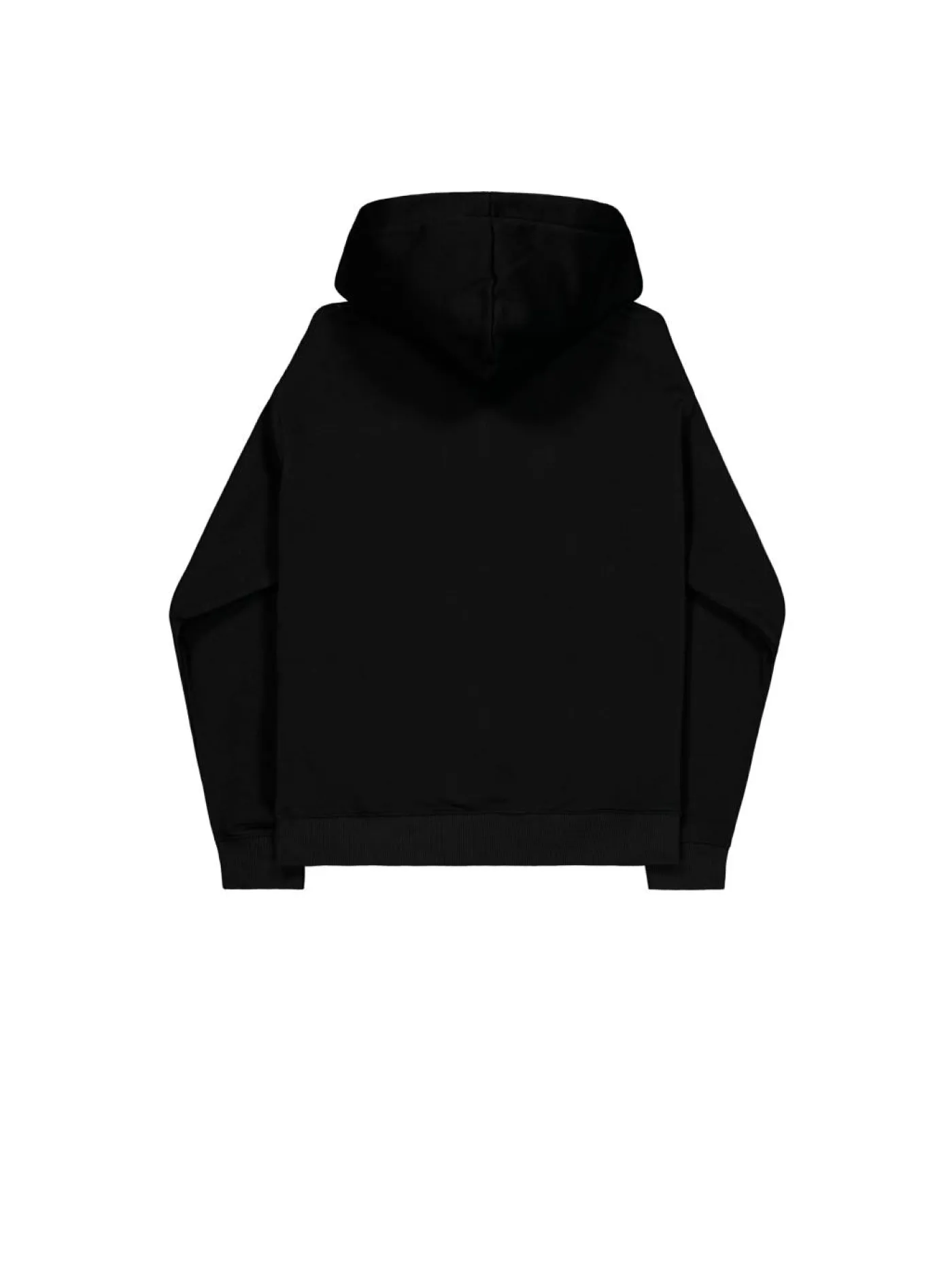 Hoodie "Basic Big Logo Effect"