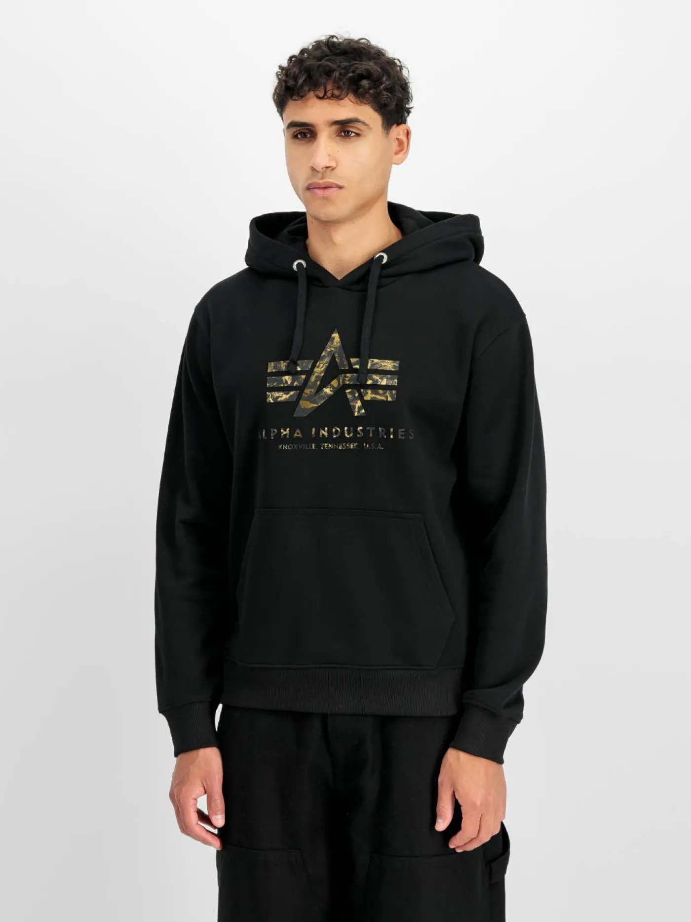 Hoodie "Basic Big Logo Effect"