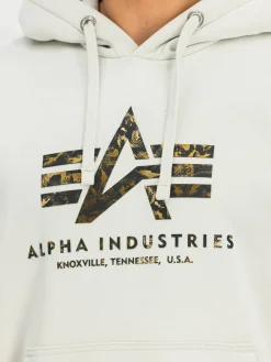 Hoodie "Basic Big Logo Effect"