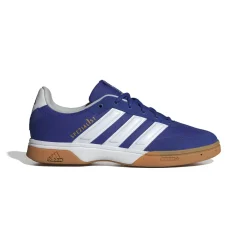 Indoor Schuh