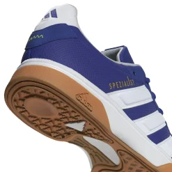 Indoor Schuh