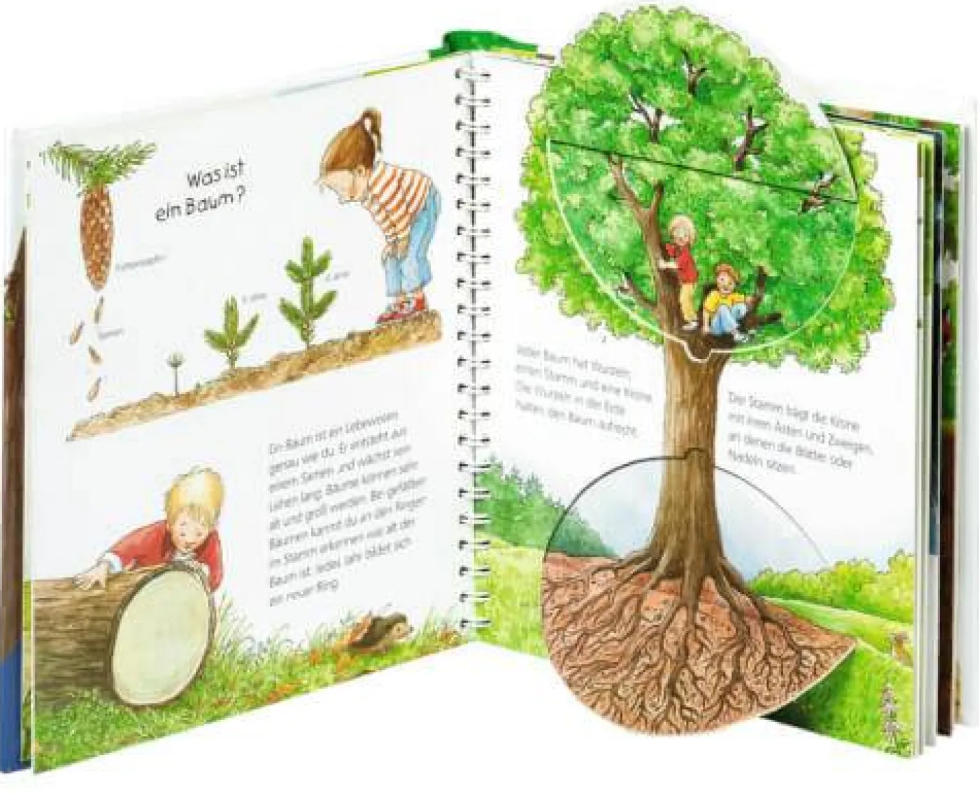 Kinder-Sachbuch "Wieso? Weshalb? Warum? - Der Wald"