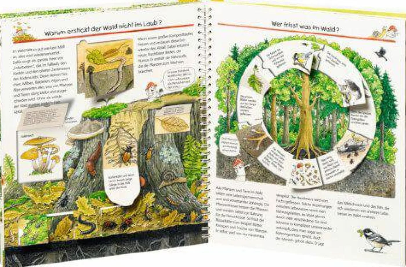 Kinder-Sachbuch "Wieso? Weshalb? Warum? - Wir entdecken den Wald"