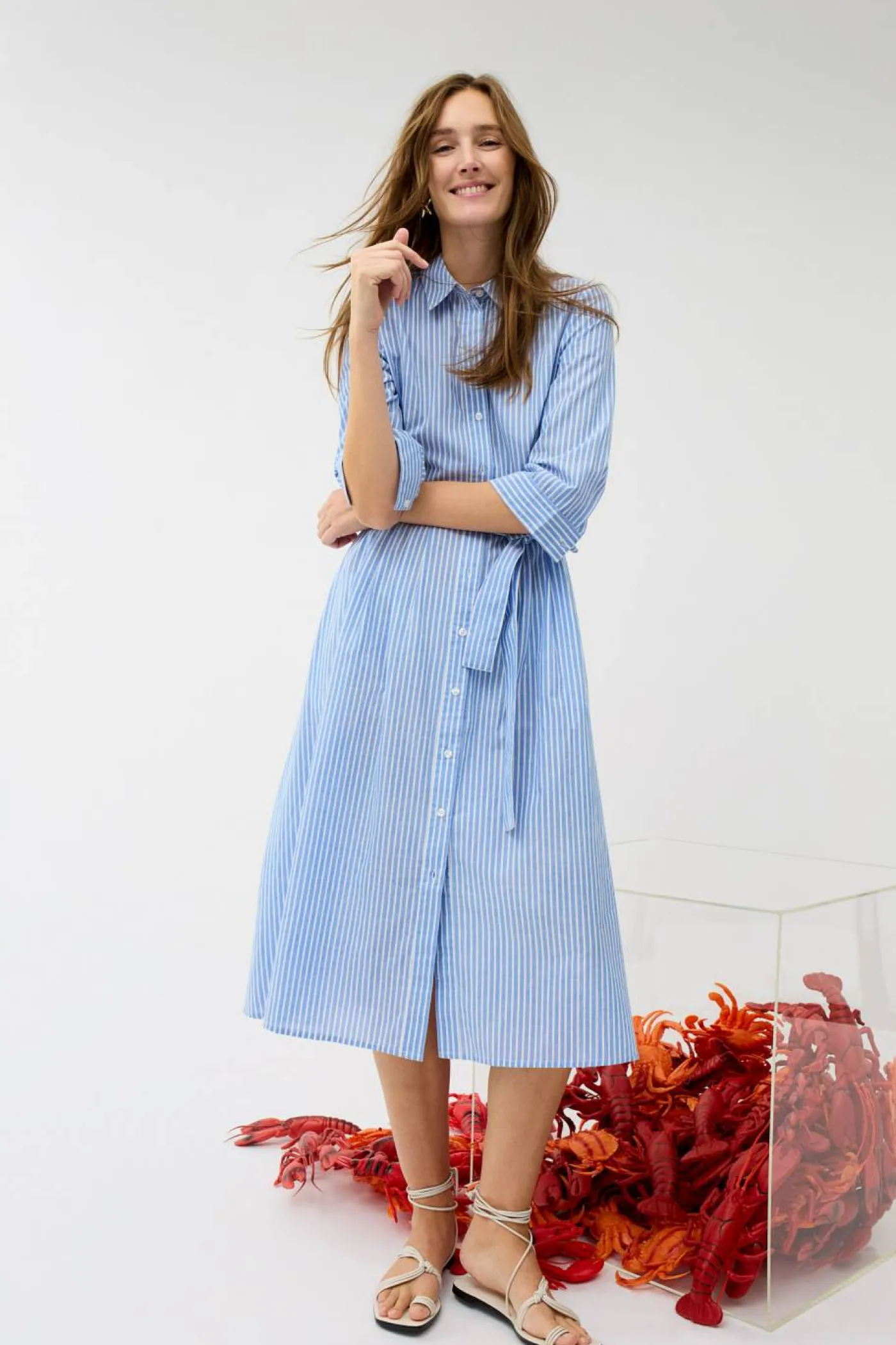 Kleid