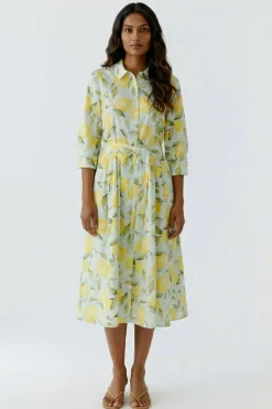 Kleid