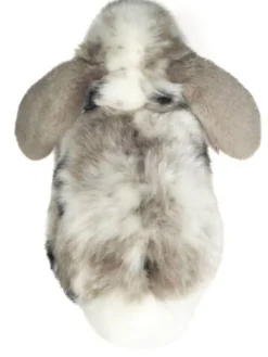 Kuscheltier 