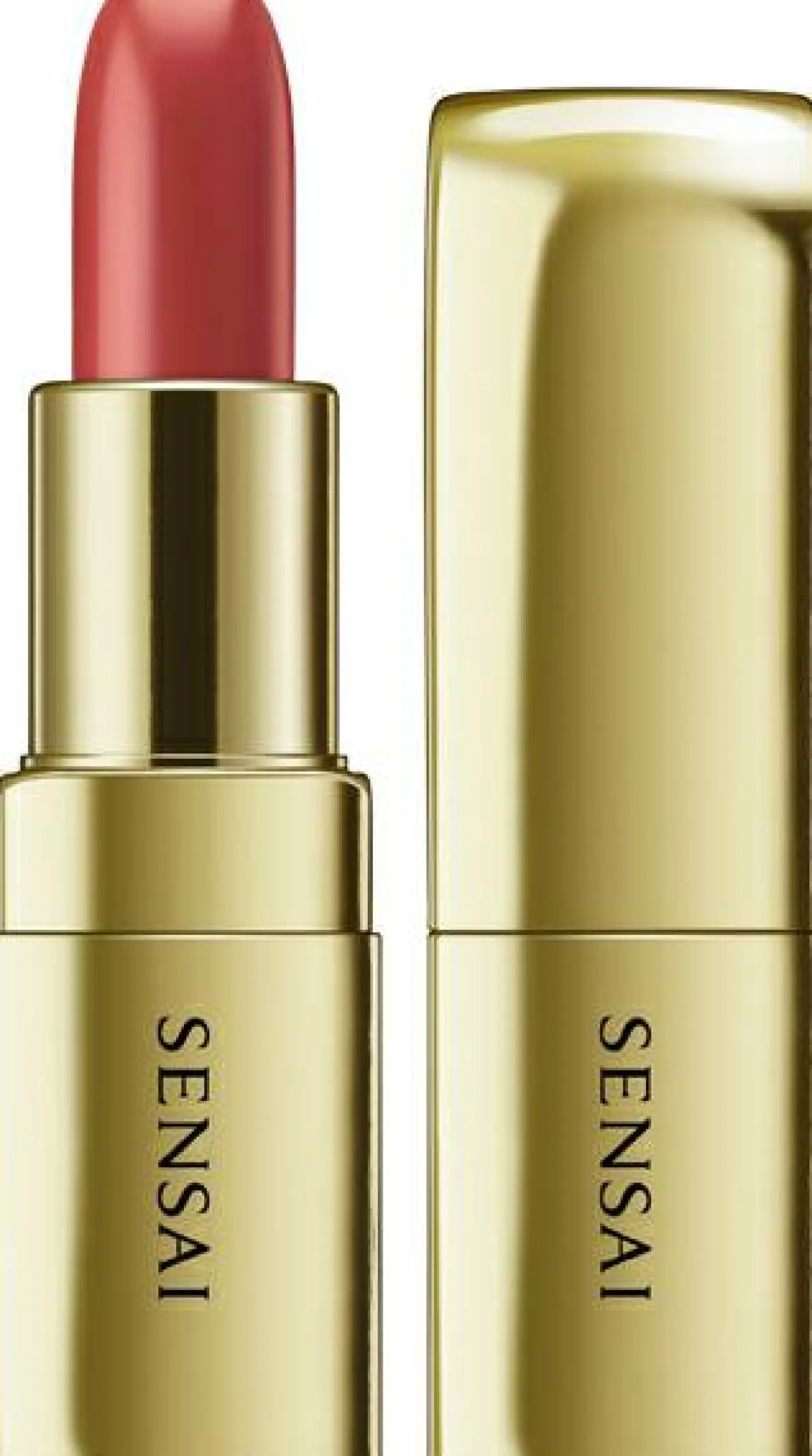 LIPPEN THE LIPSTICK
