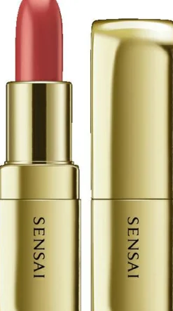 LIPPEN THE LIPSTICK