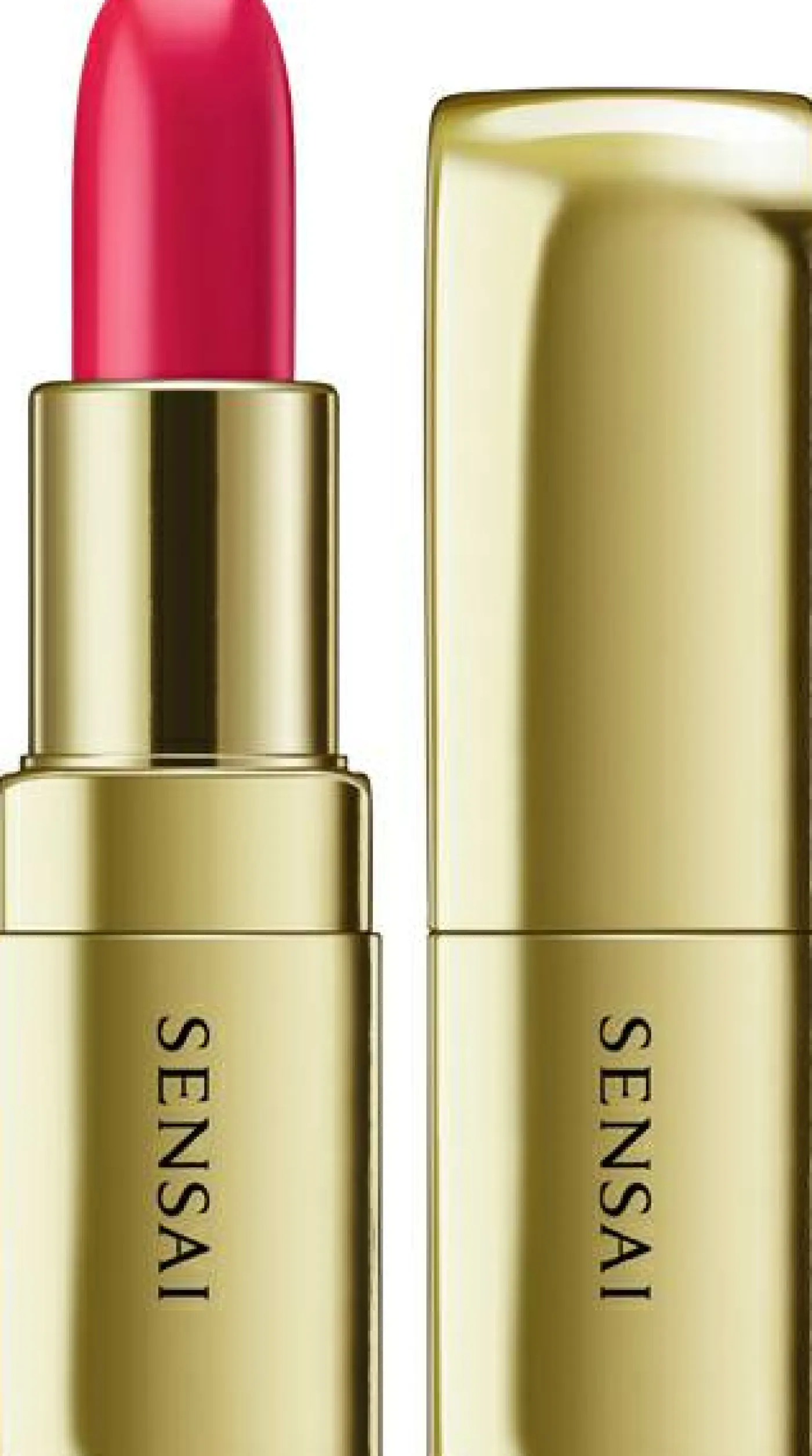 LIPPEN THE LIPSTICK