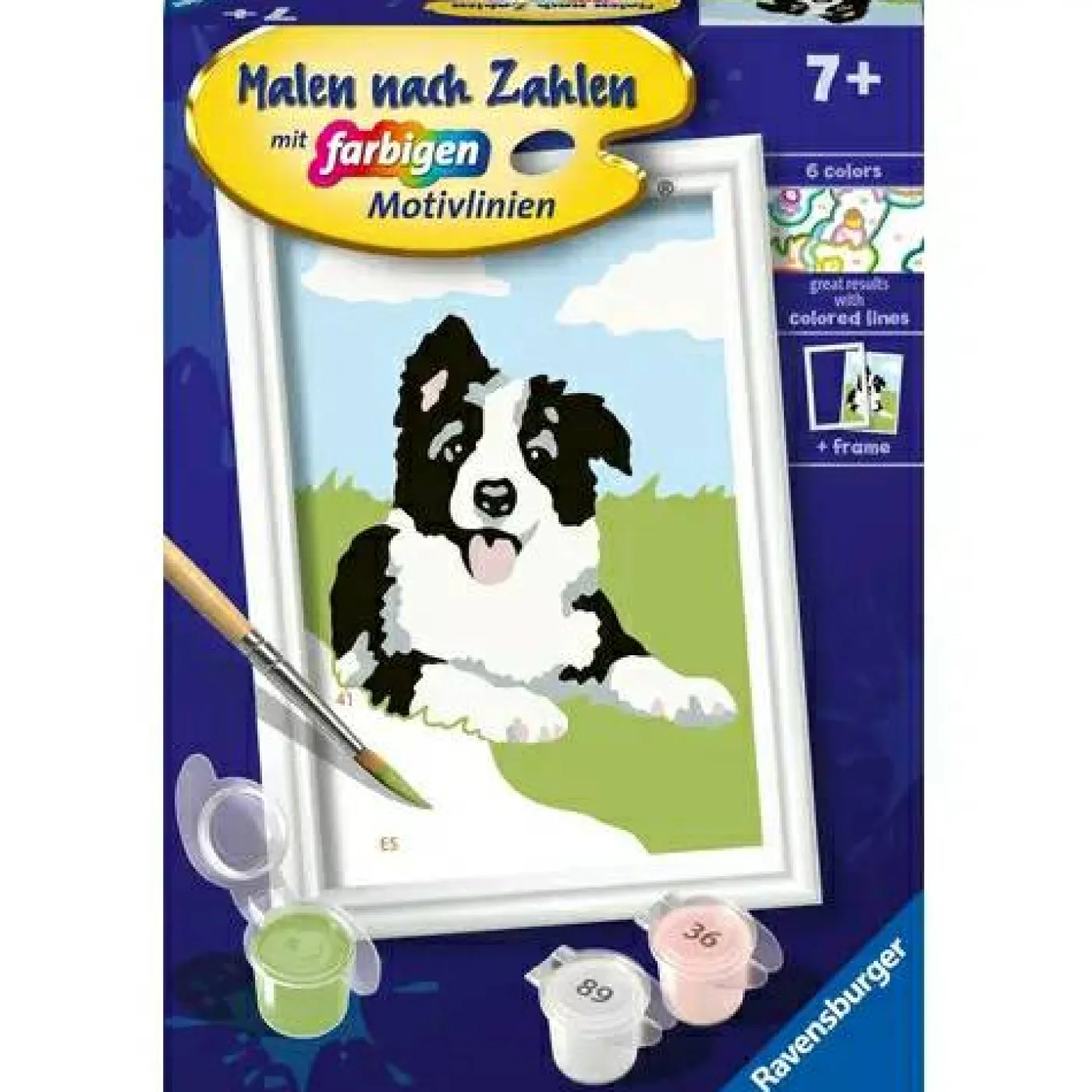 Malen nach Zahlen "Border Collie Welpe"