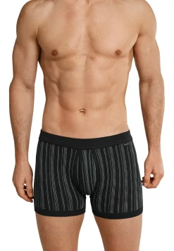 2PACK Hose kurz