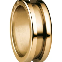 Ring "Arctic Symphony" Gr. 57