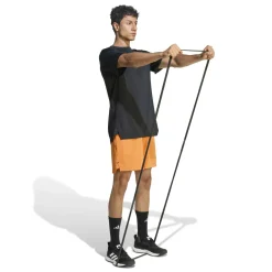 Shorts "Designed for Training"