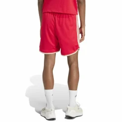 Shorts "Stadium Mesh"