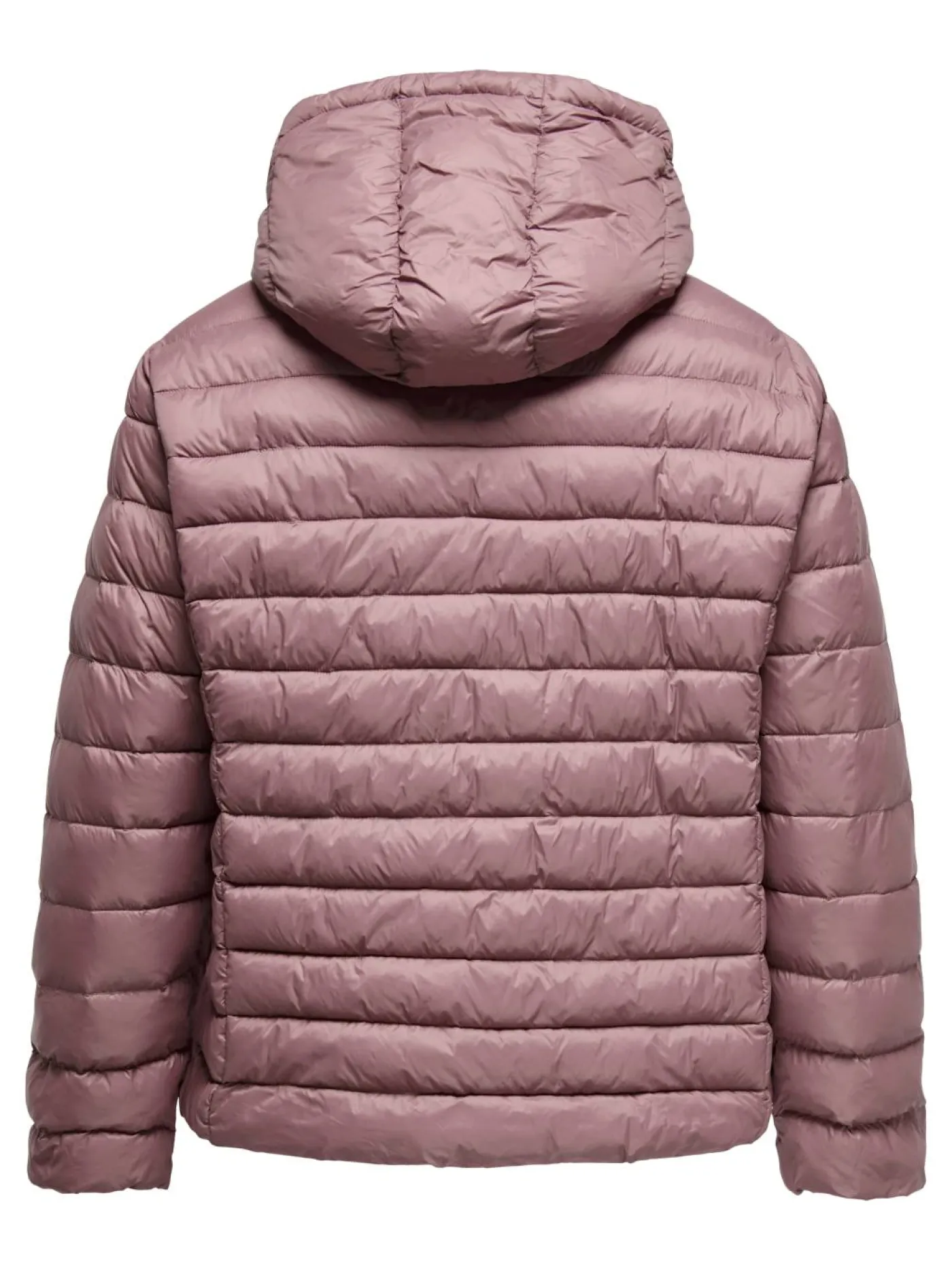 Steppjacke "Cartahia"