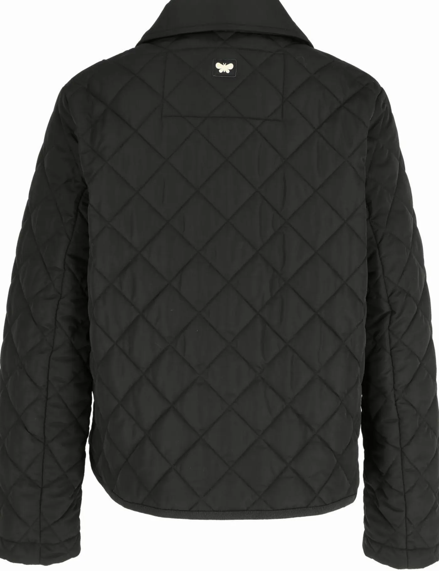 Steppjacke "WKDGelo"