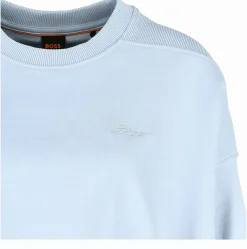 Sweatshirt "C_Efem_1"