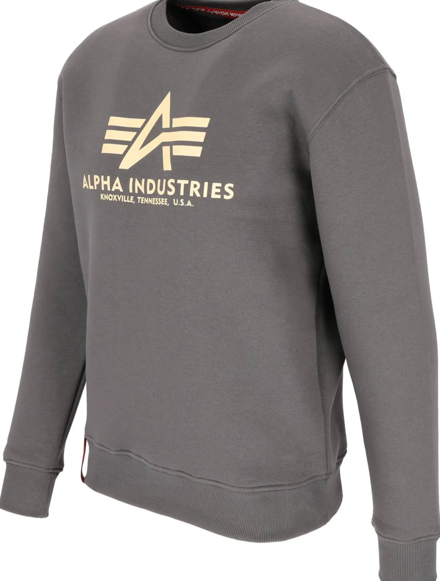 Sweatshirt "Big Logo"