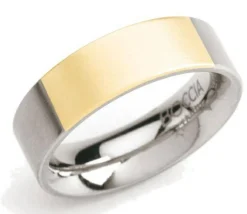 Titanium Ring