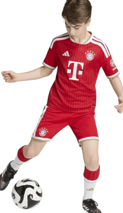 Trikot 