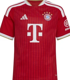 Trikot 