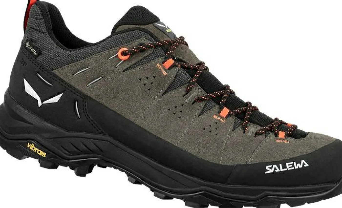 Wanderschuh "Alp Trainer 2 GTX M"