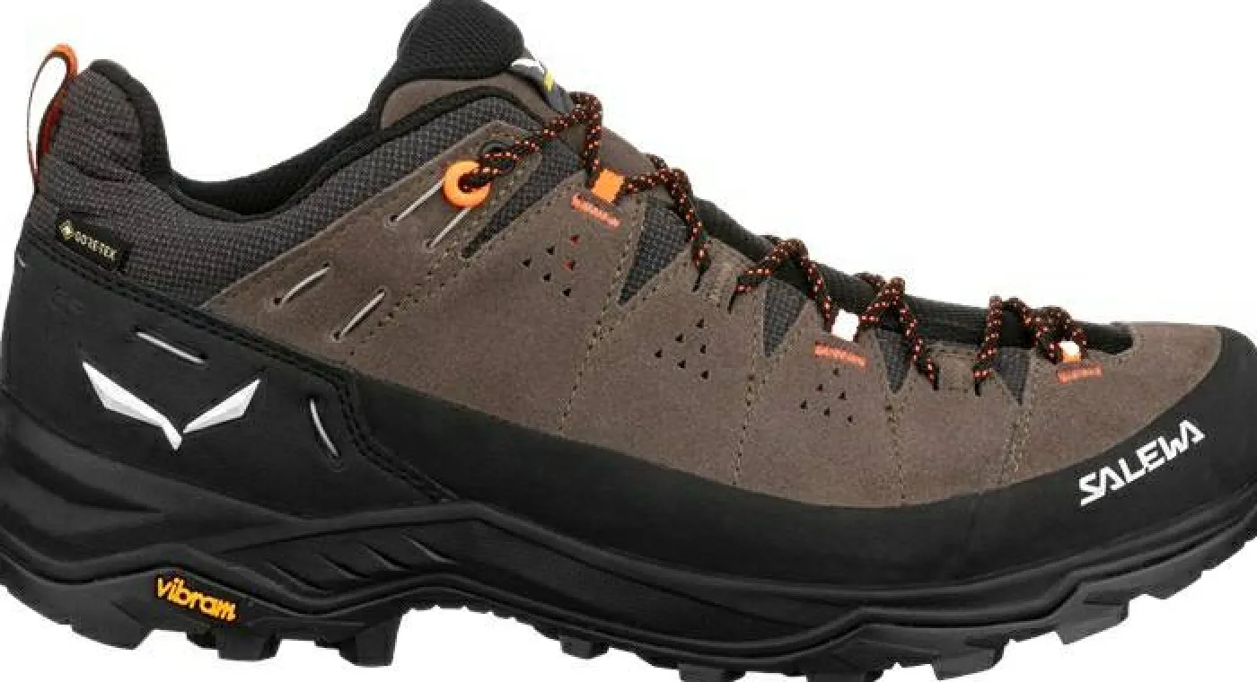 Wanderschuh "Alp Trainer 2 GTX M"
