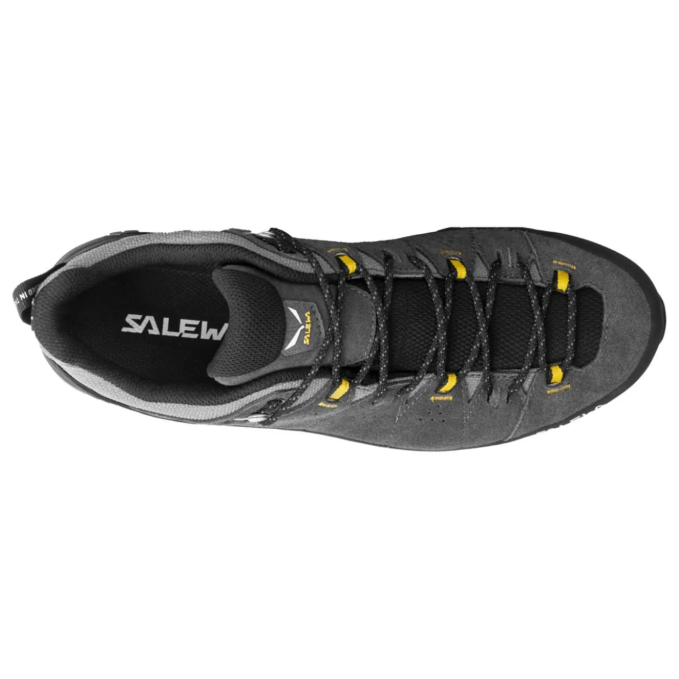 Wanderschuh "Alp Trainer 2 GTX M"